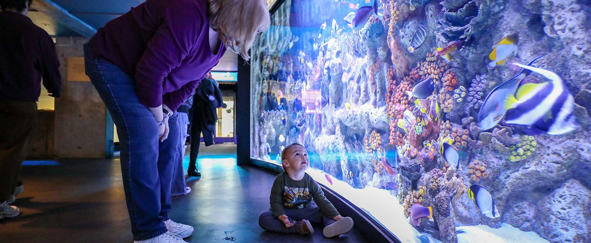guests in aquarium, small child