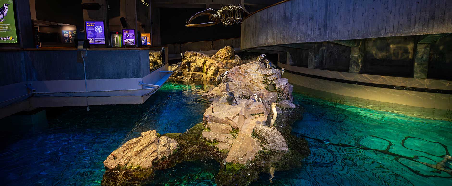 aquarium interiors