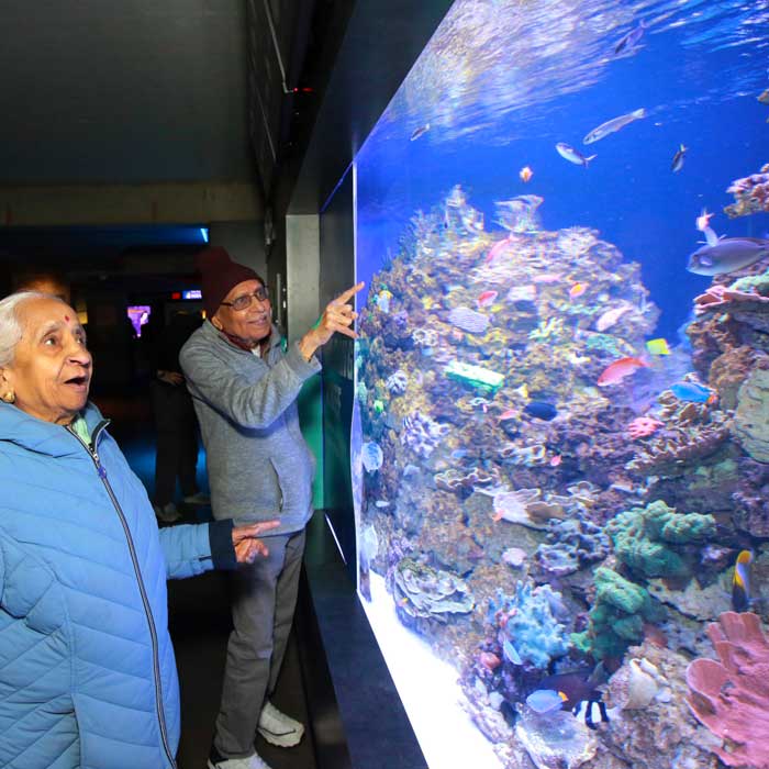 visitors looking at fish