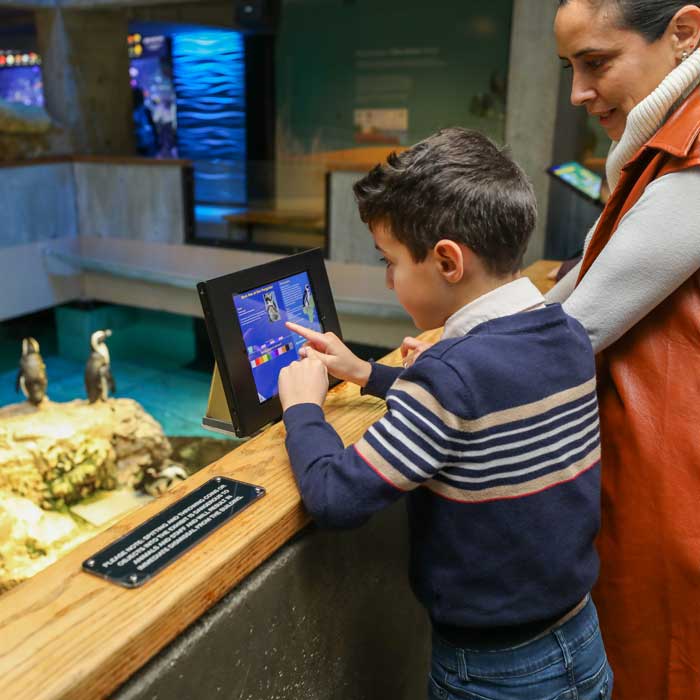visitors at the aquarium 