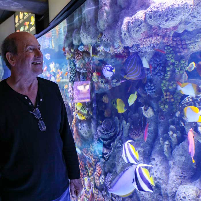guest looking at fish