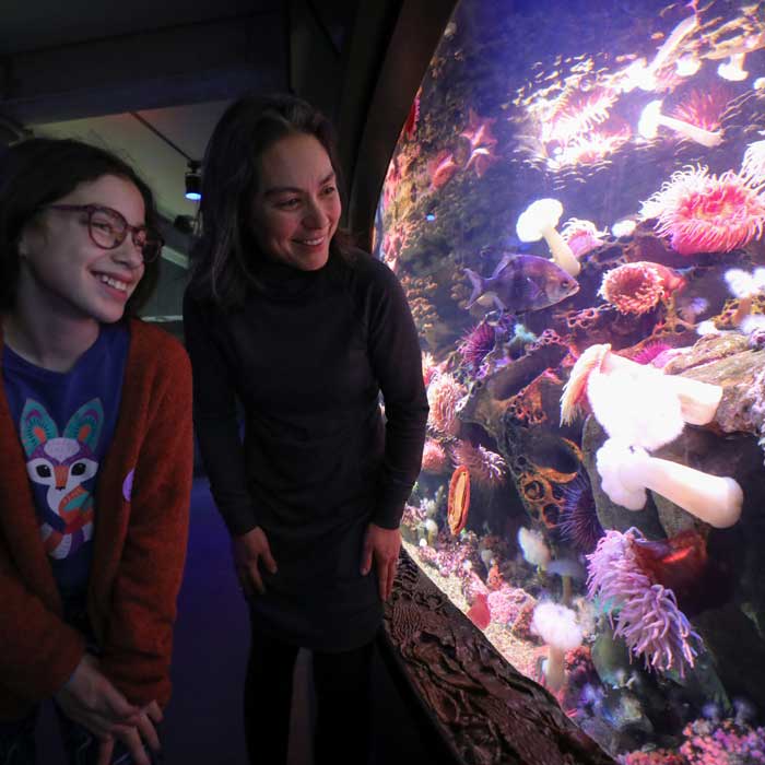visitors looking at aquarium tank
