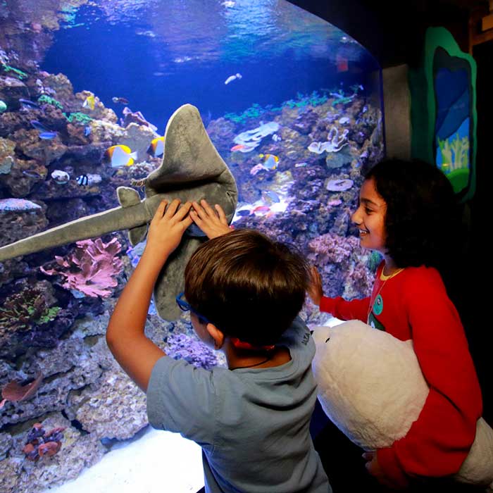 children looking at a ray