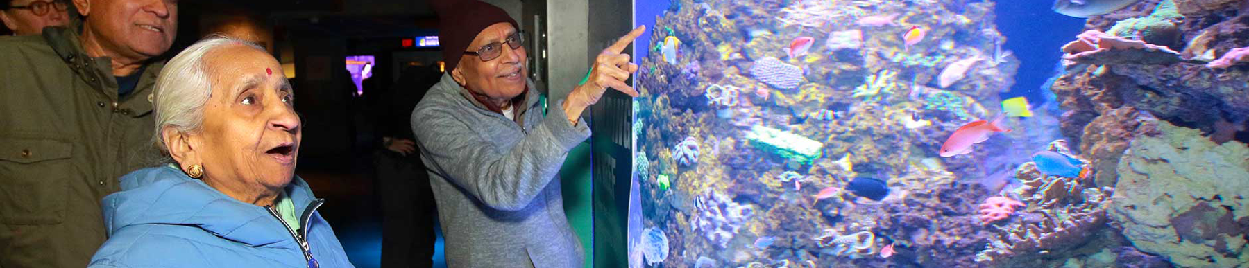 visitors looking at fish