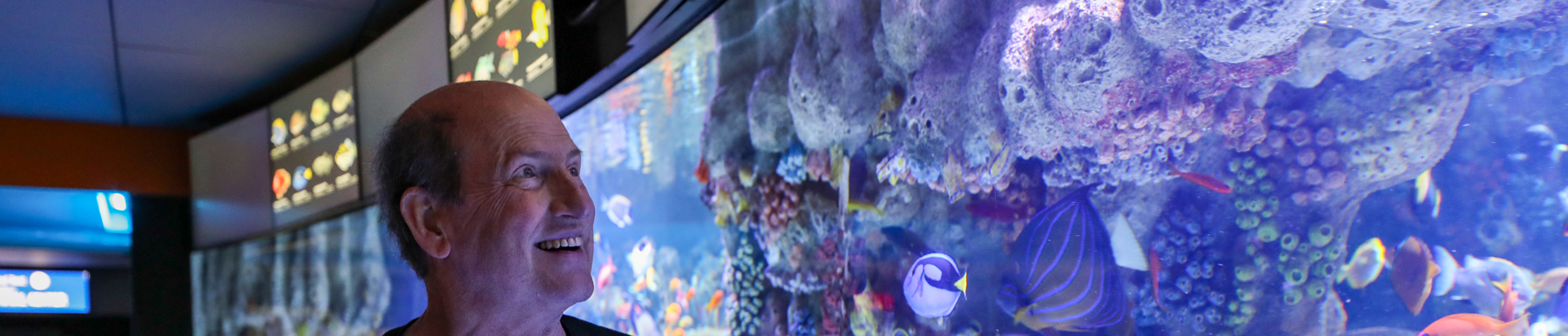 guest looking at fish