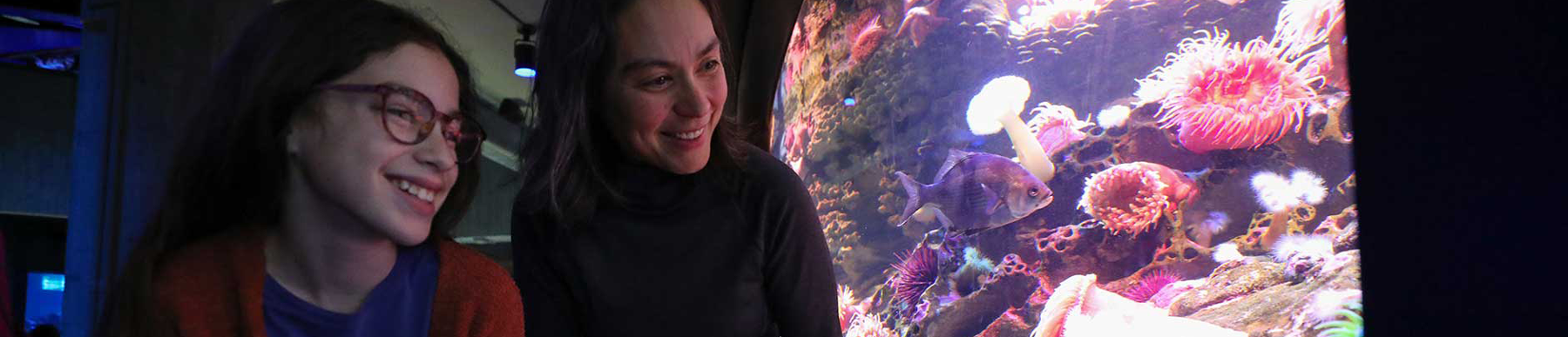 visitors looking at aquarium tank