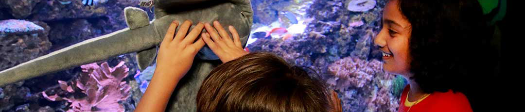 children looking at a ray