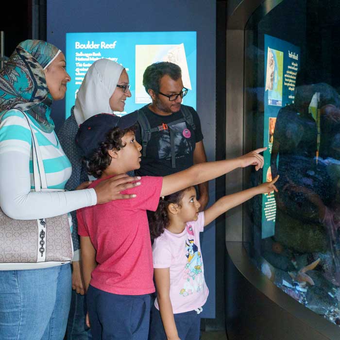 visitors looking at fish